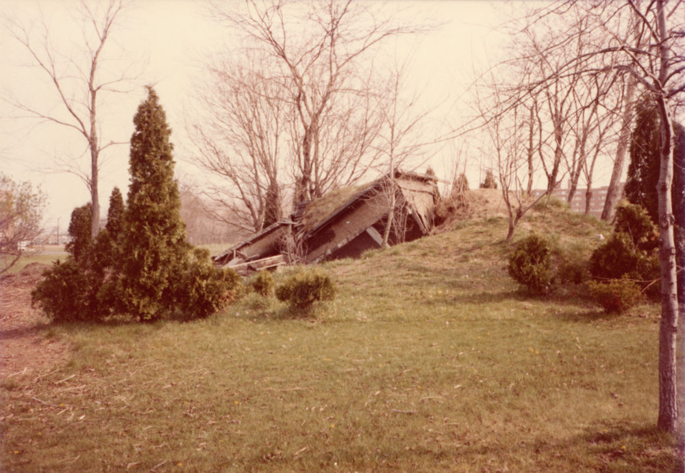 Partially Buried Woodshed