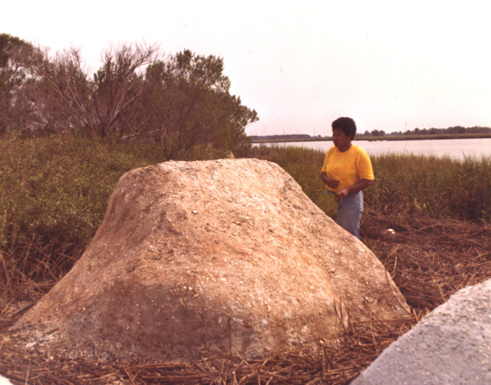 Marsh Ruins